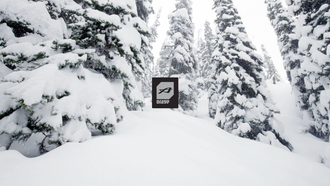 SAY HELLO TO OUR NEW LOGO