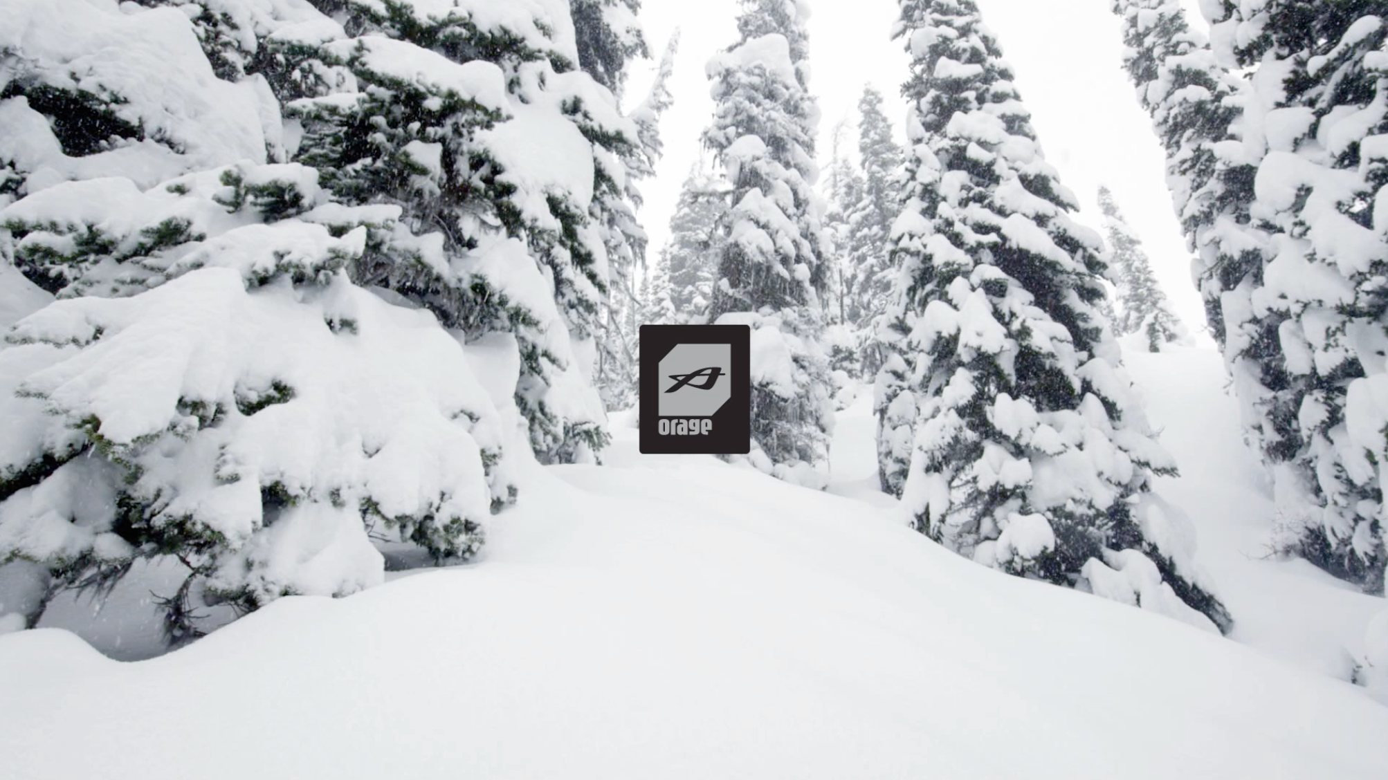 SAY HELLO TO OUR NEW LOGO